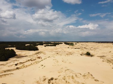 Yukarıdan gelen çöl. Çöl kumları ve ağaçlar