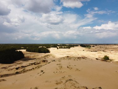 Yukarıdan gelen çöl. Çöl kumları ve ağaçlar