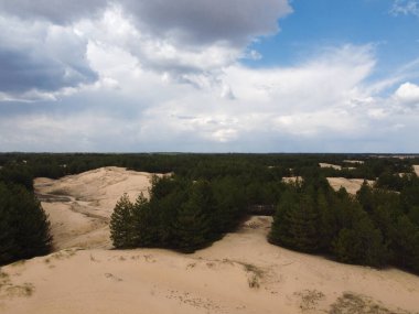 Yukarıdan gelen çöl. Çöl kumları ve ağaçlar