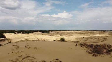 Yukarıdan gelen çöl. Çöl kumları ve ağaçlar