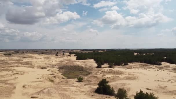 Desierto Desde Arriba Arenas Árboles Desérticos — Vídeos de Stock