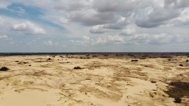 Deserto Dall Alto Sabbie Desertiche Alberi — Video Stock