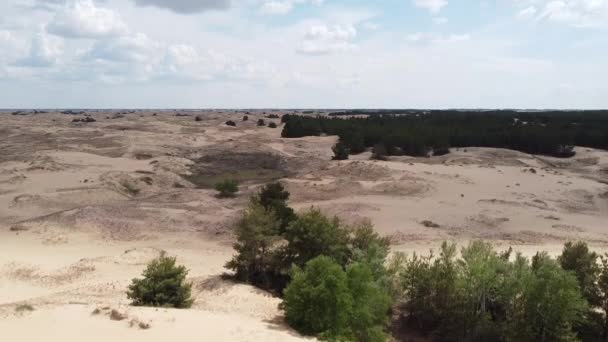 Desierto Desde Arriba Arenas Árboles Desérticos — Vídeo de stock