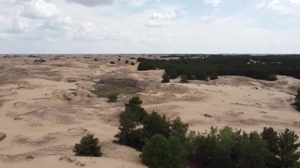 砂漠の上から 砂漠の砂と木 — ストック動画