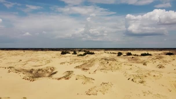 Desierto Desde Arriba Arenas Árboles Desérticos — Vídeos de Stock