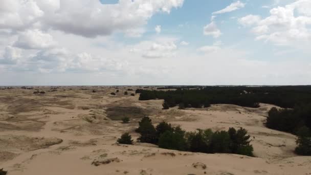 Desierto Desde Arriba Arenas Árboles Desérticos — Vídeo de stock