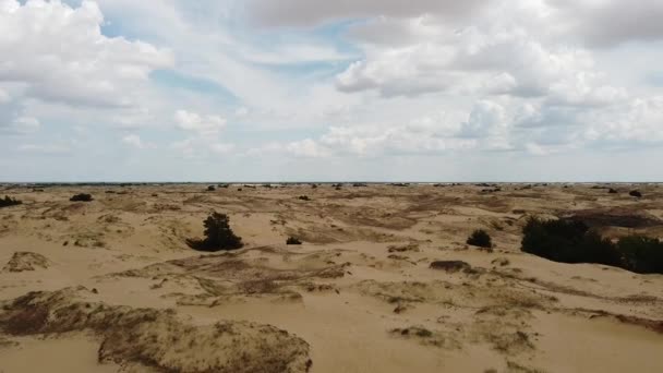 从上方的沙漠 沙漠沙地和树木 — 图库视频影像