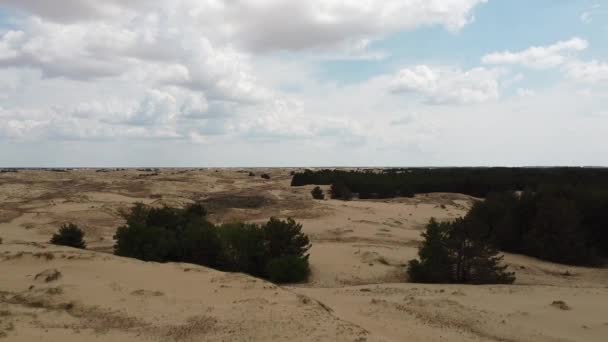 Deserto Cima Areias Árvores Deserto — Vídeo de Stock