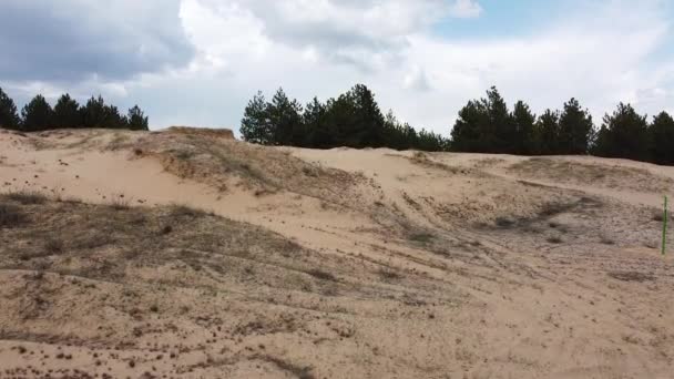 Deserto Dall Alto Sabbie Desertiche Alberi — Video Stock