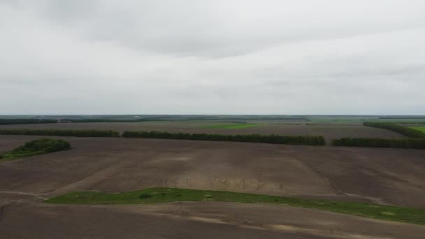 Campo Verde Uma Altura Paisagem Tempo Nublado Antes Chuva — Vídeo de Stock