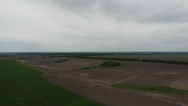 Grönt Fält Från Höjd Landskap Molnigt Väder Före Regnet — Stockvideo