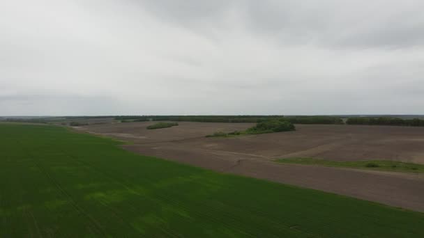 Groen Veld Vanaf Een Hoogte Landschap Bij Bewolkt Weer Voor — Stockvideo