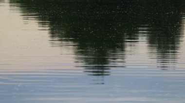 Suyun genişliği. Küçük dalgalar. Sudaki yansıma