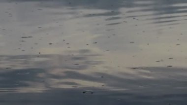 Suyun genişliği. Küçük dalgalar. Sudaki yansıma