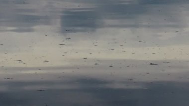 Suyun genişliği. Küçük dalgalar. Sudaki yansıma