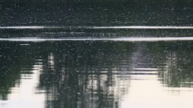 Suyun genişliği. Küçük dalgalar. Sudaki yansıma