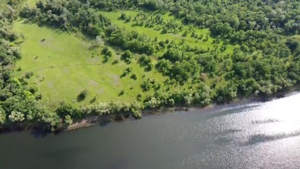 Vackert Landskap Med Flod Från Höjd Land Och Flod Uppifrån — Stockvideo