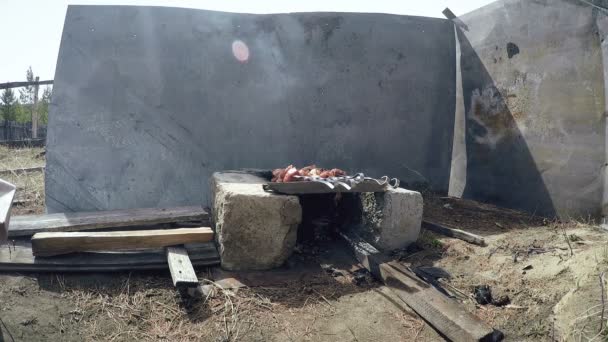 Shashlyk Carne sobre carvão vegetal. Full HD — Vídeo de Stock
