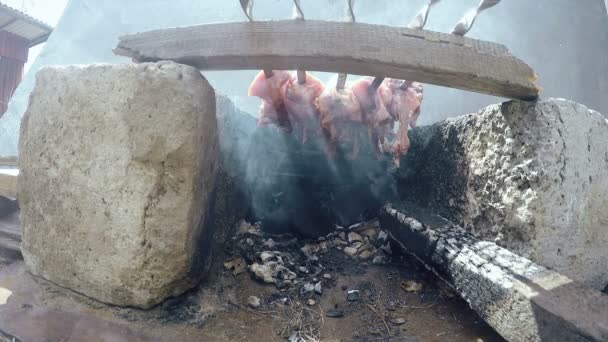 Shashlyk Carne sobre carvão vegetal. Full HD — Vídeo de Stock