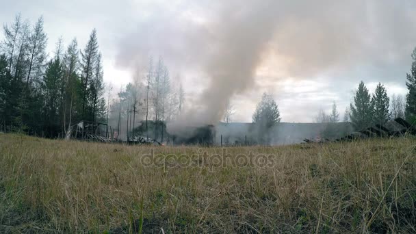 Brand huis in de buurt van bossen Full Hd — Stockvideo