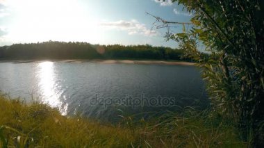 Yaz nehir güneşli günde. Doğa arka plan. 4k