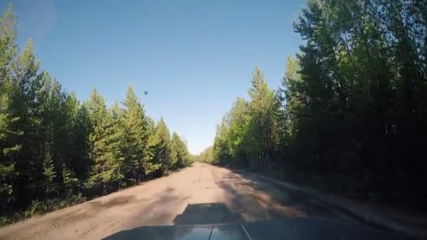 車からの眺め。夏の遠征で晴れた日の道を — ストック動画