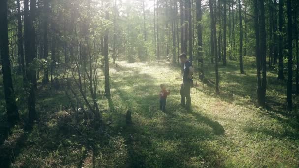 父亲和儿子走在森林里 — 图库视频影像