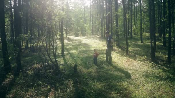 Far och son gick på skogen — Stockvideo