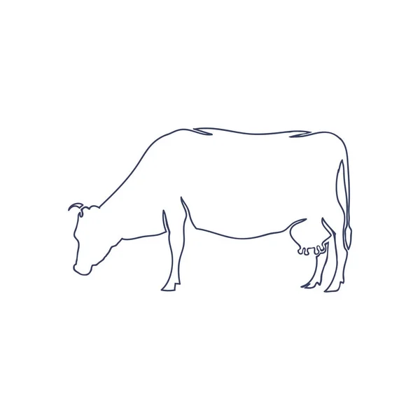 Vache dessinée à la main isolée sur fond blanc. Vecteur — Image vectorielle