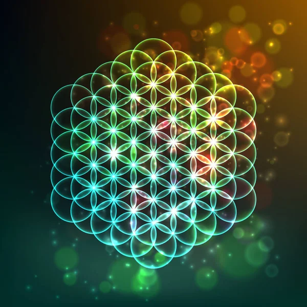 Çiçek yaşam. Kutsal geometri. Uyum ve denge sembolü. Vektör