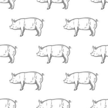 Domuz vintage oyulmuş illüstrasyon Dikişsiz desen arka plan. Vektör