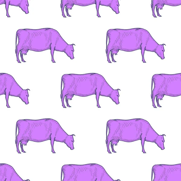 Корова винтажные гравированные иллюстрации бесшовный фон шаблона. Вектор — стоковый вектор