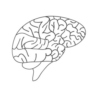 Kroki mürekkep insan beyni, elle çizilmiş, anatomik şekil. Vektör