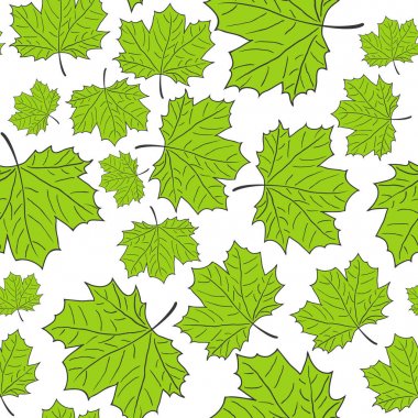 Elle çizilmiş Maple Leaf Seamless modeli. Vektör