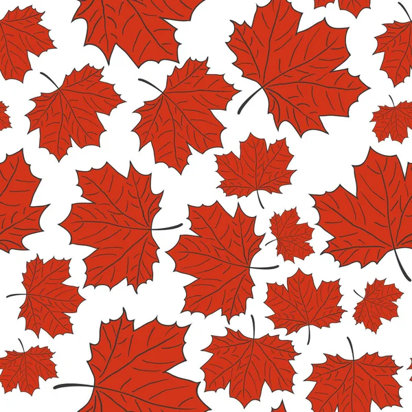 Hand getekende Maple Leaf naadloze patroon. Vector — Stockvector