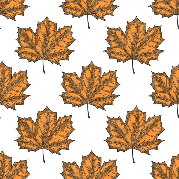 Elle çizilmiş Maple Leaf Seamless modeli. Vektör — Stok Vektör