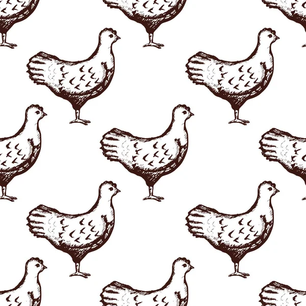 Modèle de poulet main sans couture dessinée sur fond blanc. Vecteur — Image vectorielle