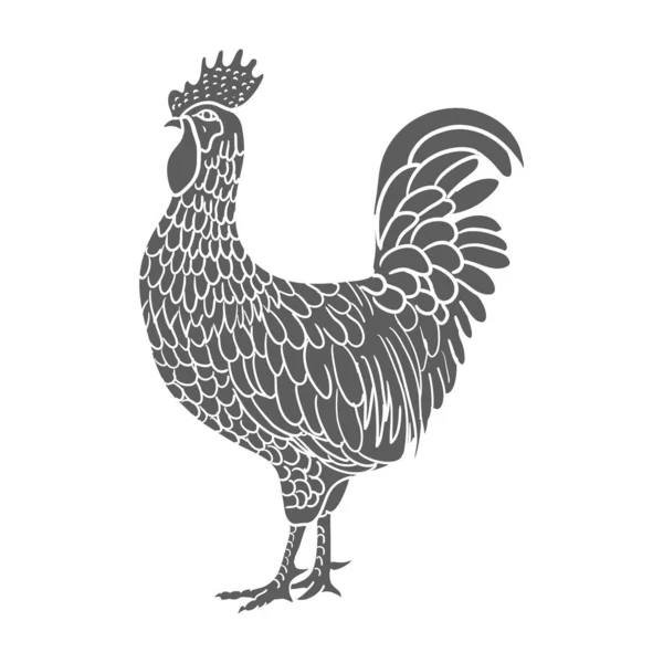 Hahn. Henne oder Huhn Hand mit Höhenlinien auf weißem Hintergrund gezeichnet. elegante monochrome Zeichnung von Hausgeflügel. Illustration in Vintage-Holzschnitt, Kupferstich oder Radierung. Vektor — Stockvektor