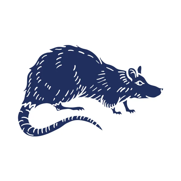 Rat of Muis Hand getekend op witte achtergrond. Vector — Stockvector