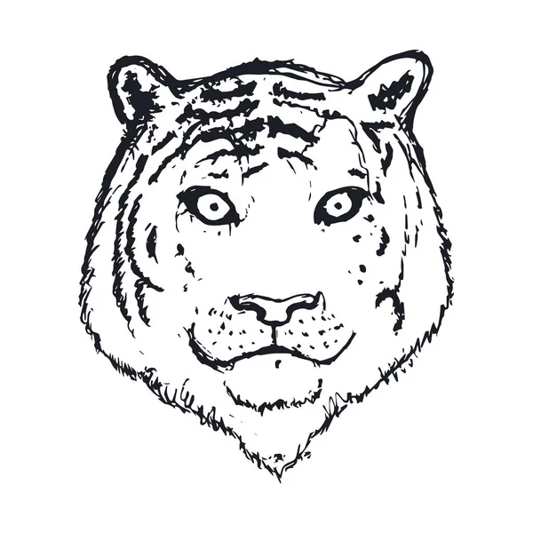 Πρόσωπο τίγρης ή κεφάλι. Χέρι ζωγραφισμένα Tiger Head ζώο ή αρπακτικό απομονώνονται σε λευκό φόντο. Διάνυσμα — Διανυσματικό Αρχείο