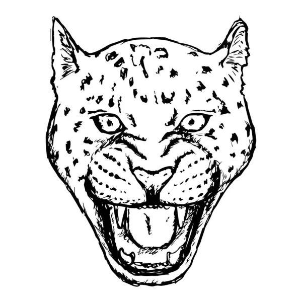 Amur Leopard Roar πρόσωπο ή το κεφάλι. Χειροποίητο ζώο Leopard Head ή αρπακτικό που απομονώνεται σε λευκό φόντο. Διάνυσμα — Διανυσματικό Αρχείο