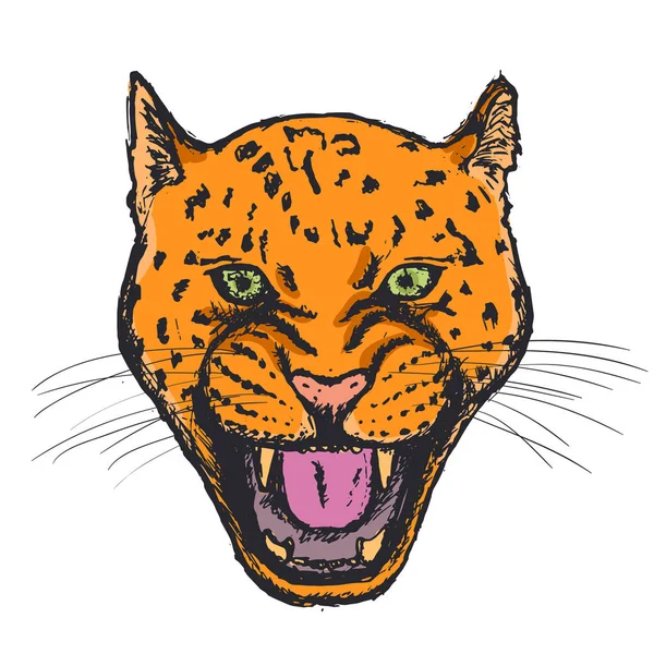 阿穆尔豹的脸或头。 手绘豹头动物或捕食动物，在白色背景下被隔离。 B.病媒 — 图库矢量图片