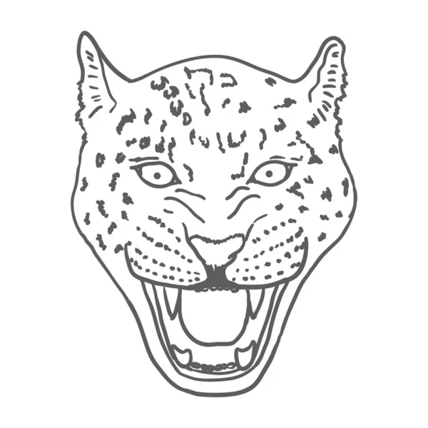 Amur Leopard Roar πρόσωπο ή το κεφάλι. Χειροποίητο ζώο Leopard Head ή αρπακτικό που απομονώνεται σε λευκό φόντο. Διάνυσμα — Διανυσματικό Αρχείο