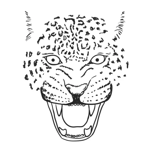 Amur Leopárd Ordító arc vagy fej. Kézzel rajzolt Leopárd Head állat vagy ragadozó izolált fehér alapon. Vektor — Stock Vector