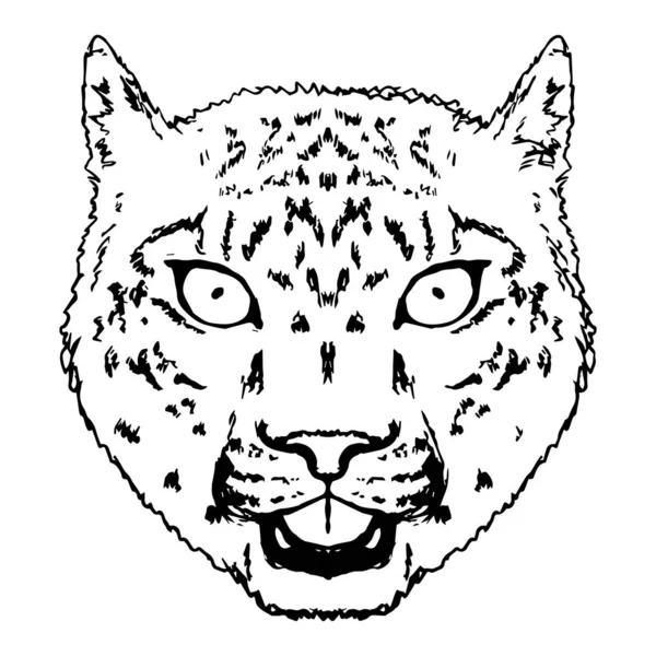 Snow Leopard Roar visage ou la tête. Tête de léopard dessinée à la main animal ou prédateur isolé sur fond blanc. Vecteur — Image vectorielle