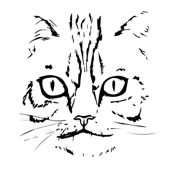 Cara de gato dibujada a mano. Cabeza de gato. Vector — Vector de stock