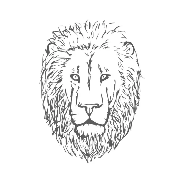 Tête de lion dessinée à la main. Face de lion. Vecteur — Image vectorielle