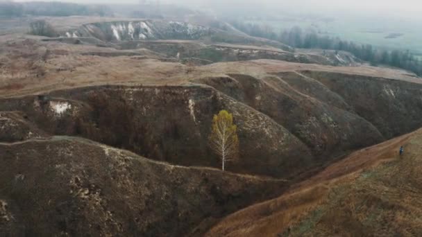 Een eenzame boom tussen de heuvels in Oekraïne — Stockvideo