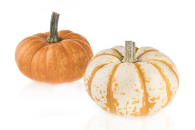 İki sonbahar su kabakları