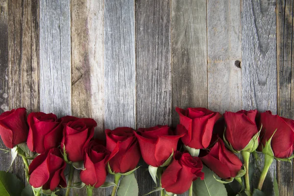 コピー スペースを持つ赤いバラ — ストック写真